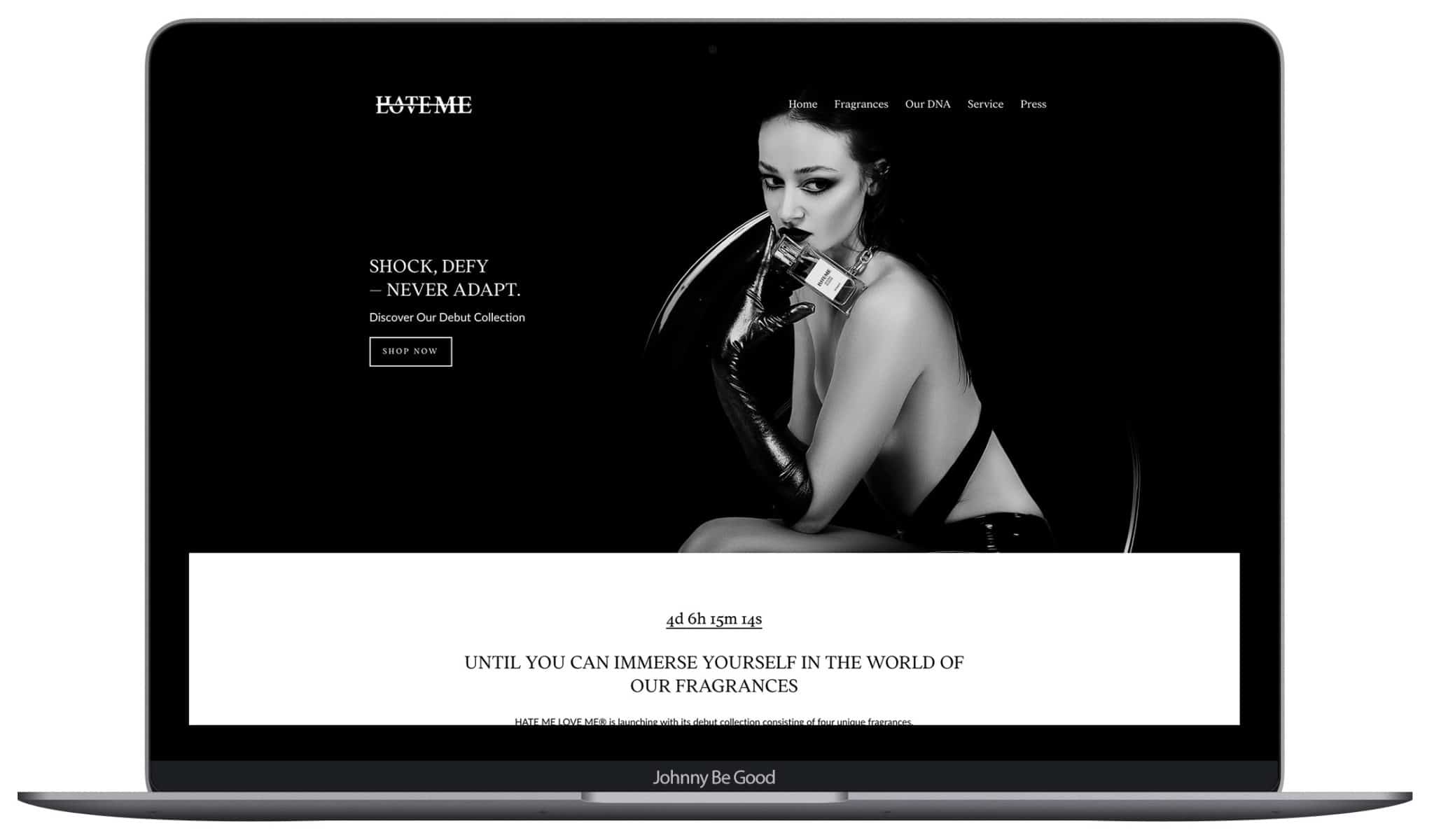 Hate Me Love Me Website by Johnny Be Good